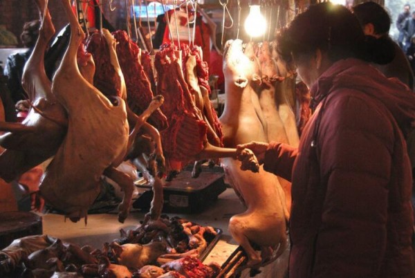 Çin koronavirusun yayılması ilə bağlı yeni ehtimal irəli sürdü - Bazardan yayılmayıb