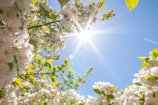 Rayonlarda 39 dərəcə isti olacaq - HAVA PROQNOZU