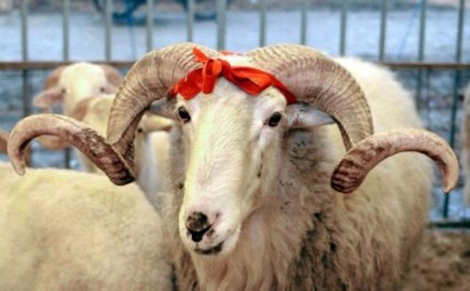 Qurban bayramında 4 gün iş olmayacaq