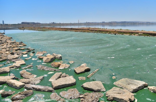 “Azərsu”dan Bakıdakı üfunət iyi ilə bağlı açıqlama