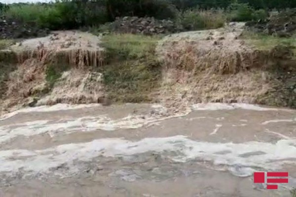 Gəncədə leysan yağıb, yaşayış evlərini, həyətyanı sahələri su basıb - FOTO