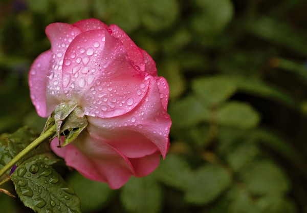Qeyri-sabit hava şəraiti sabah da davam edəcək