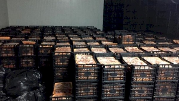 Türkiyədə Qurban bayramında yığılan 41 ton əti kasıblara vermədilər - Torpağa basdırıldı