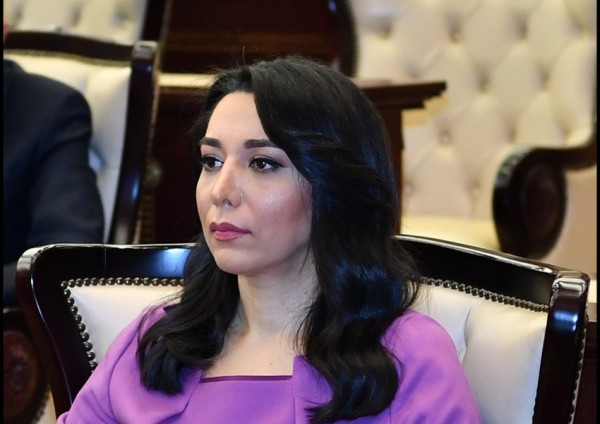Fəaliyyətimi dondurmamışam... - Ombudsmanın 8 günlük “donu açıldı”
