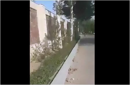 İcra başçısı villasının ətrafına yaşıllıq saldı - sakinlərin yolunu kəsdi