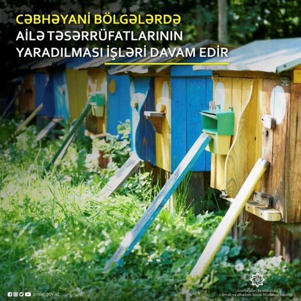 Cəbhəyanı bölgələrdə özünüməşğulluq proqramı üzrə  650 yeni ailə təsərrüfatı yaradıldı