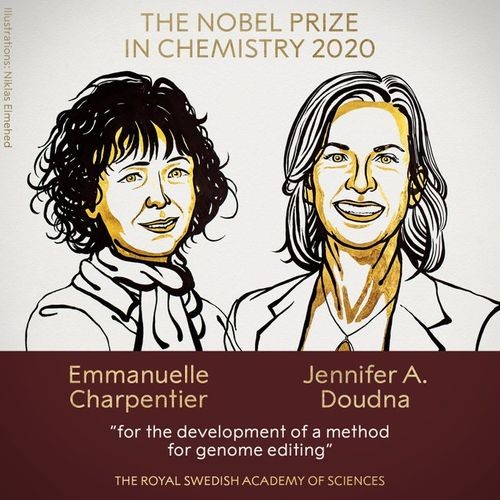 Kimya üzrə “Nobel mükafatı”nın qalibləri açıqlandı