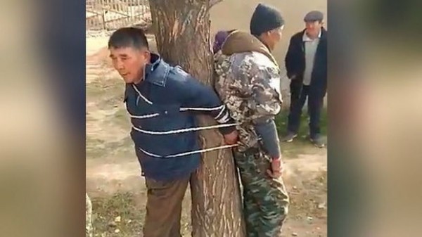 Qırğızıstandan qəribə görüntü: Məmur və polis ağaca bağlandı