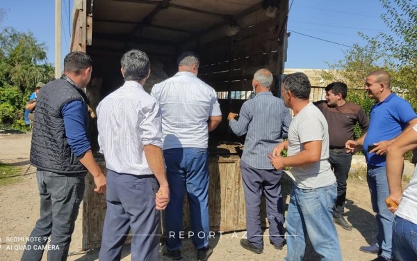 Cəbhədə qurbanlar kəsilib