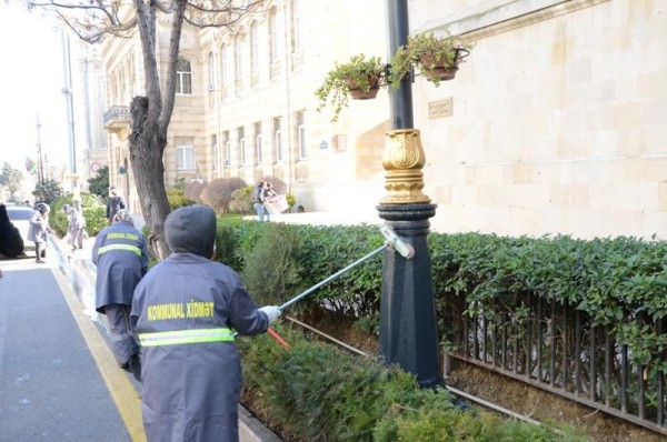 Sabah Bakıda geniş iməcilik keçiriləcək