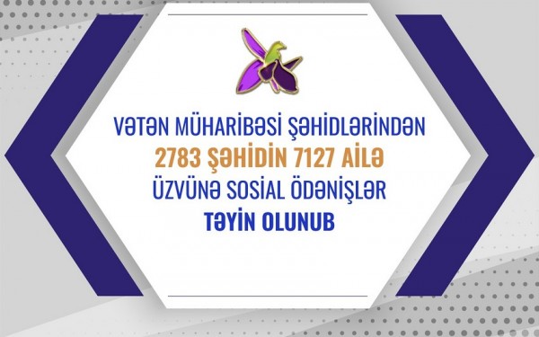 2 783 şəhidin ailə üzvünə sosial ödənişlər təyin olunub
