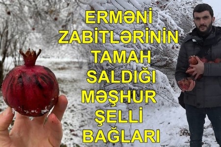 Erməni zabitlərin tamah saldığı Şelli kəndi  - Nar bağları, istixanalar, əkin sahələri REPORTAJ