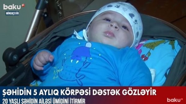 Şəhidin beş aylıq körpəsi dəstək gözləyir