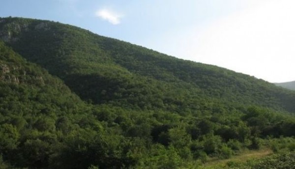 Bəsitçay qoruğu 30 il fərqlə