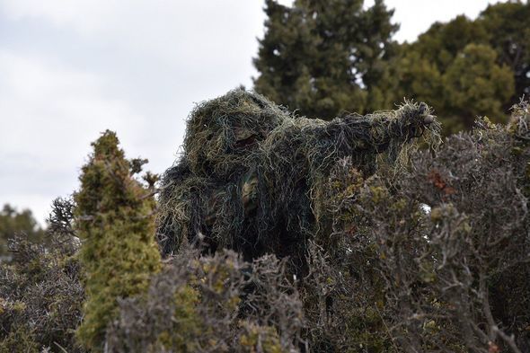 Azərbaycan hərbçiləri terrorçularla mübarizə təlimlərində iştirak edib -  FOTO
