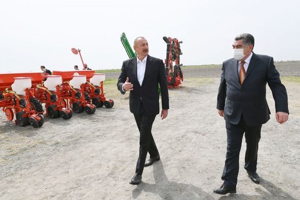 İlham Əliyev pambıq tarlasında səpin prosesini izlədi -  FOTO