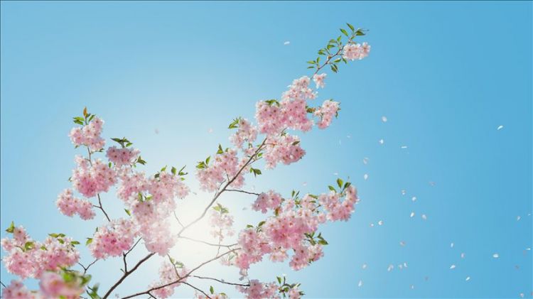 May ayının hava proqnozu açıqlandı May ayının hava proqnozu açıqlandı