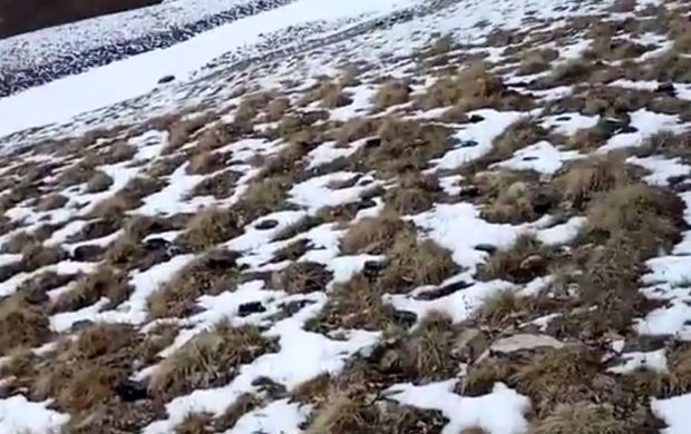 Erməni təxribatı bitmək bilmir:  Qar əridikcə ölüm tələləri üzə çıxır - VİDEO