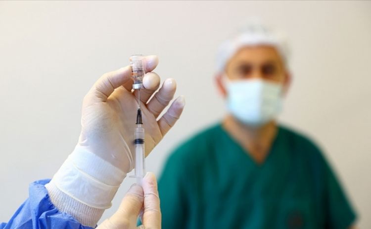 Peyvənd vurdurmaq üçün ən münasib vaxt hansıdır? Peyvənd vurdurmaq üçün ən münasib vaxt hansıdır?