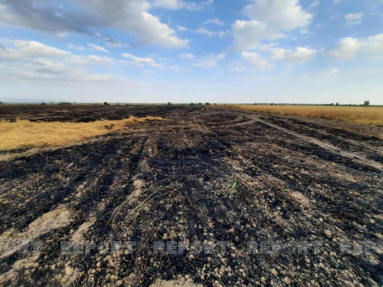 Ağsuda taxıl sahələrindəki yanğın söndürülüb -  Yenilənib Ağsuda taxıl sahələrindəki yanğın söndürülüb -  Yenilənib