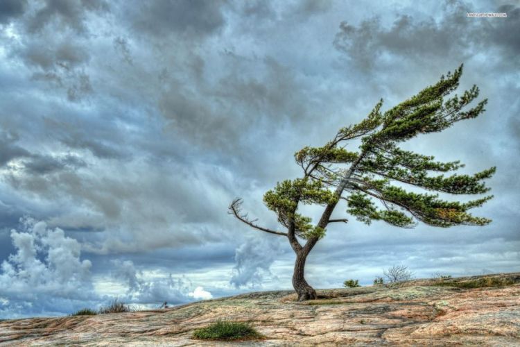 Hava dəyişəcək -  XƏBƏRDARLIQ Hava dəyişəcək -  XƏBƏRDARLIQ