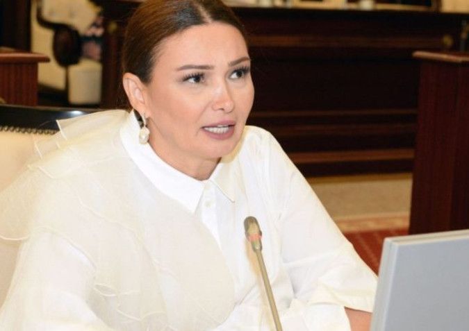 Qənirə Paşayeva parlamentdə od püskürdü:  "Şəhid atası  gəlib deyir ki..." Qənirə Paşayeva parlamentdə od püskürdü:  "Şəhid atası  gəlib deyir ki..."