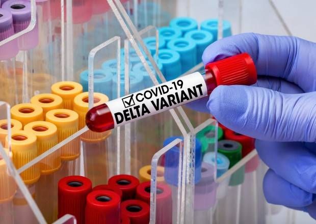 Azərbaycanda 31 nəfərdə koronavirusun "Delta" ştammı aşkarlandı -  RƏSMİ