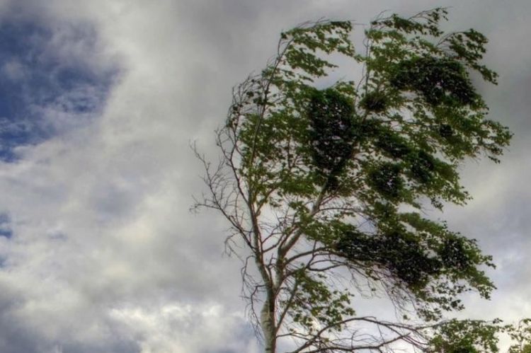 Güclü külək əsəcək Güclü külək əsəcək