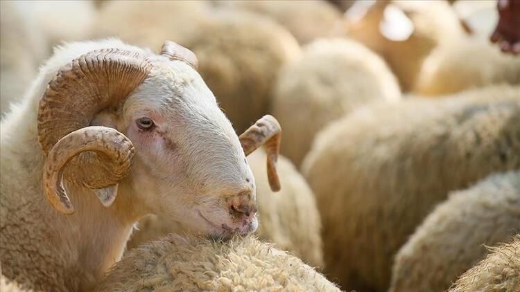 Bu gün Azərbaycanda Qurban bayramıdır