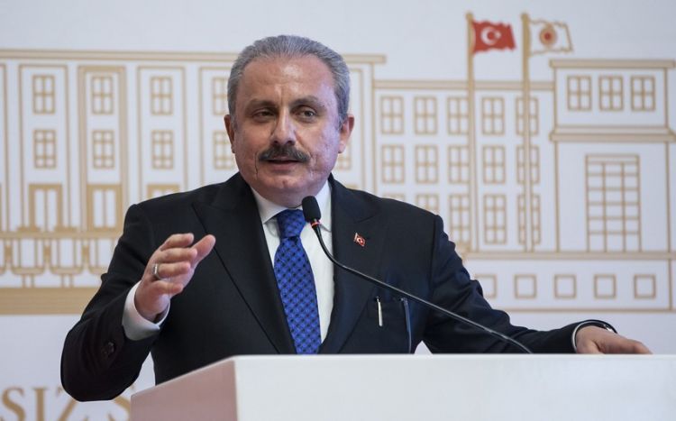 Mustafa Şentop azad olunmuş torpaqlarımızla bağlı  çağırış etdi