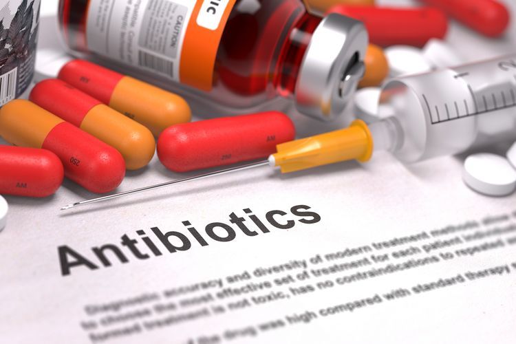  Bioloqlar antibiotiklərin insan ömrünə təsirini açıqlayıb