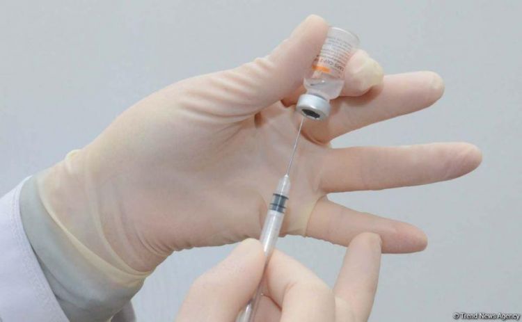 Peyvənd olunanların sayı açıqlanıb Peyvənd olunanların sayı açıqlanıb