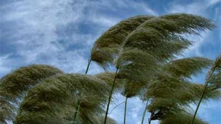 Sabahın hava proqnozu  AÇIQLANDI Sabahın hava proqnozu  AÇIQLANDI