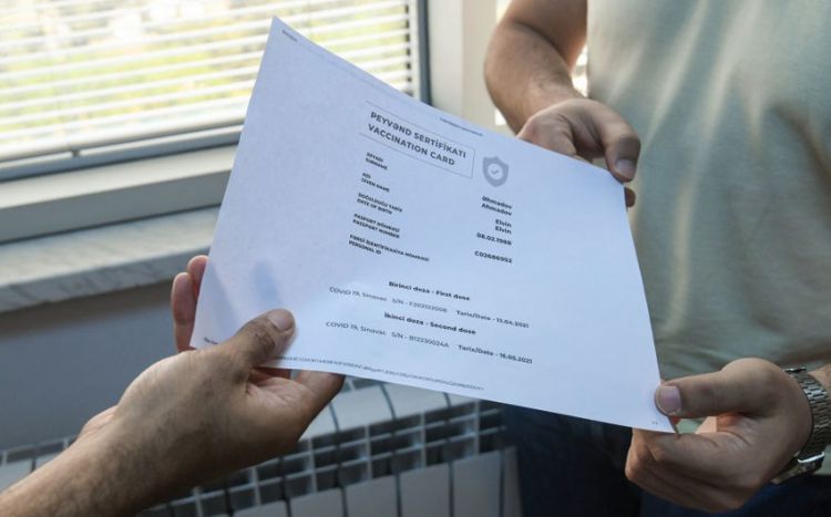 Bakı və Abşeronda  250 manata saxta vaksin sənədi...