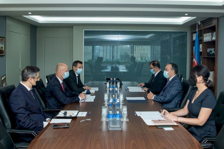Ölkəmizdə yeni “Himayədar ailə” qayğı modeli tətbiq olunacaq