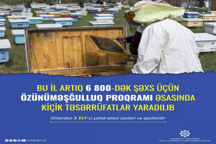 Bu il 6 800-dək şəxs üçün kiçik təsərrüfatlar yaradılıb