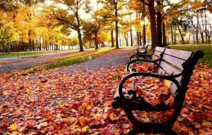 Noyabr ayının hava proqnozu  AÇIQLANDI Noyabr ayının hava proqnozu  AÇIQLANDI