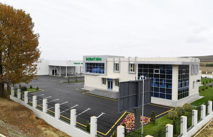 Şamaxı Üzüm Tingçilik Mərkəzinin açılışı olub