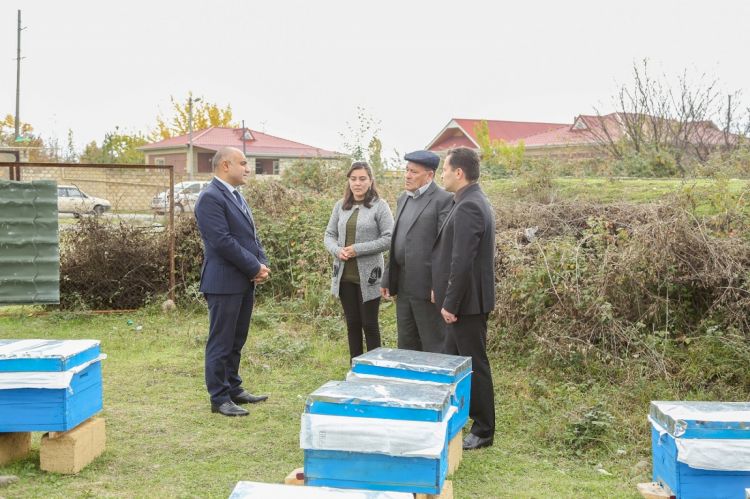 İsmayıllı və Qəbələ rayonlarına mediatur təşkil edilib -  FOTO