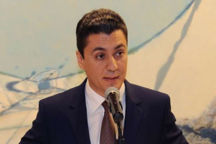 Xəyyam Abdinova qarşı irəli sürlüən ittiham məlum olub Xəyyam Abdinova qarşı irəli sürlüən ittiham məlum olub