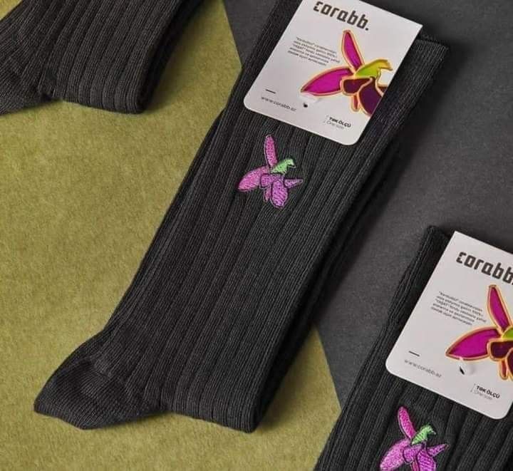 Xarıbülbül simvollu corab qəzəbə səbəb oldu - Deputat və Şəhid xanımından  ETİRAZ Xarıbülbül simvollu corab qəzəbə səbəb oldu - Deputat və Şəhid xanımından  ETİRAZ