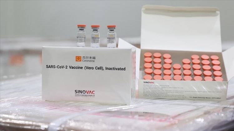 “Sinovac”ın vaksini “Omikron”a qarşı nə qədər effektlidir?
