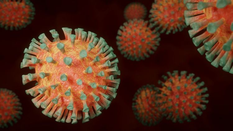 Koronavirusun daha bir ştamı aşkarlandı