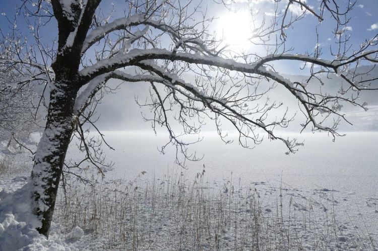 Sabah 16 dərəcəyədək isti olacaq, amma... -  HAVA PROQNOZU
