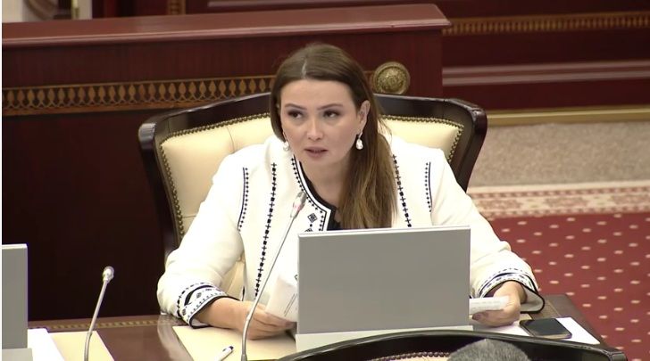 "Biz müvafiq tənzimləmələrlə nə qədər dağılan ailələrin qarşısını ala bilərik" - Qənirə Paşayeva