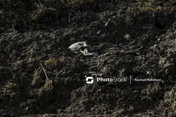 Füzulidə kütləvi məzarlıq aşkarlandı -  FOTO