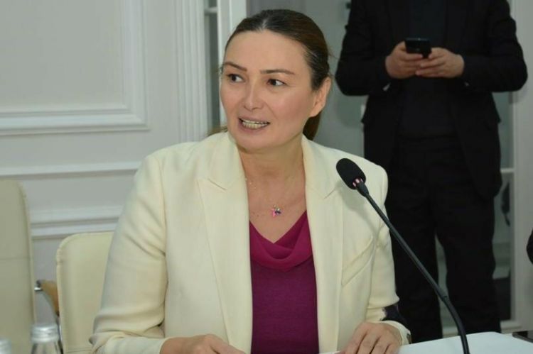 "Bu qanunu pozanlar sadə insanlar deyil" -  Qənirə Paşayeva