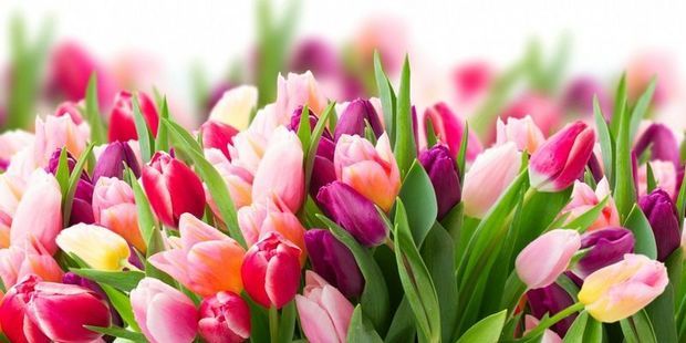 8 Mart Gününün hava proqnozu açıqlanıb