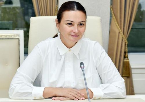 Prezident İlham Əliyevin siyasi islahatlar kursu və qanunverici orqan -  Qənirə Paşayeva
