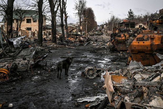 Ukrayna peykdən belə görünür -  FOTO